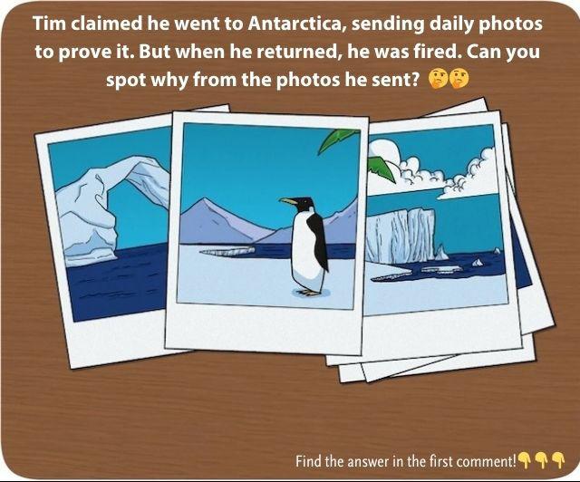 The photos Tim sent from his 'trip' to Antarctica. Can you spot what's wrong?